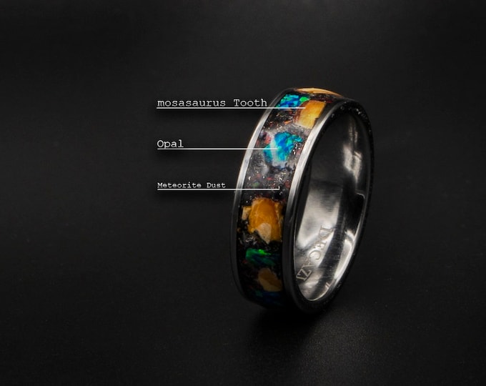 mosasaurus mens ring,  meteorite ring, womens engagement ring, black opal ring, dinosaurbone silver band, unique mens ring, Decazi