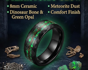 Dinosaur bone, mens ring, T rex fossil, tyrannosaurus meteorite ring, meteorite ring men, mens wedding band, unique mens ring