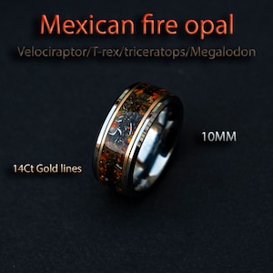 10mm Dinosaur bone ring with Mexican fire opal and meteorite shavings, Man ring, mens wedding band, meteorite ring, wedding ring | Decazi