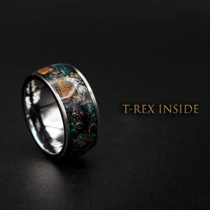 Dinosaur bone ring with Genuine tyrannosaurus and meteorite shavings. image 1