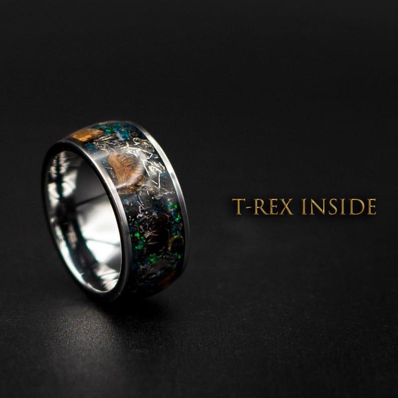 Dinosaur bone ring with Genuine tyrannosaurus and meteorite shavings. image 1