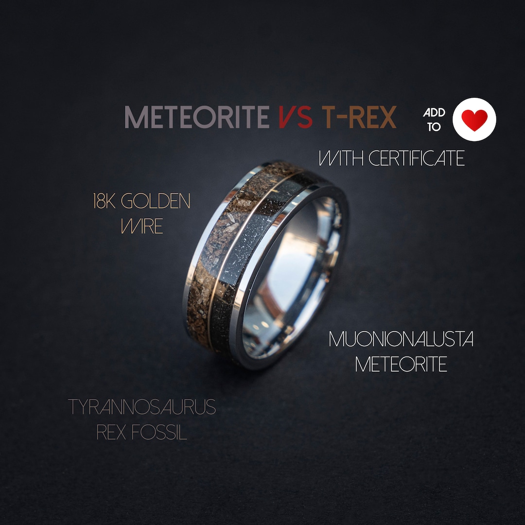 T-rex Dinosaur Bone Meteorite Engagement Ring, Meteorite Ring