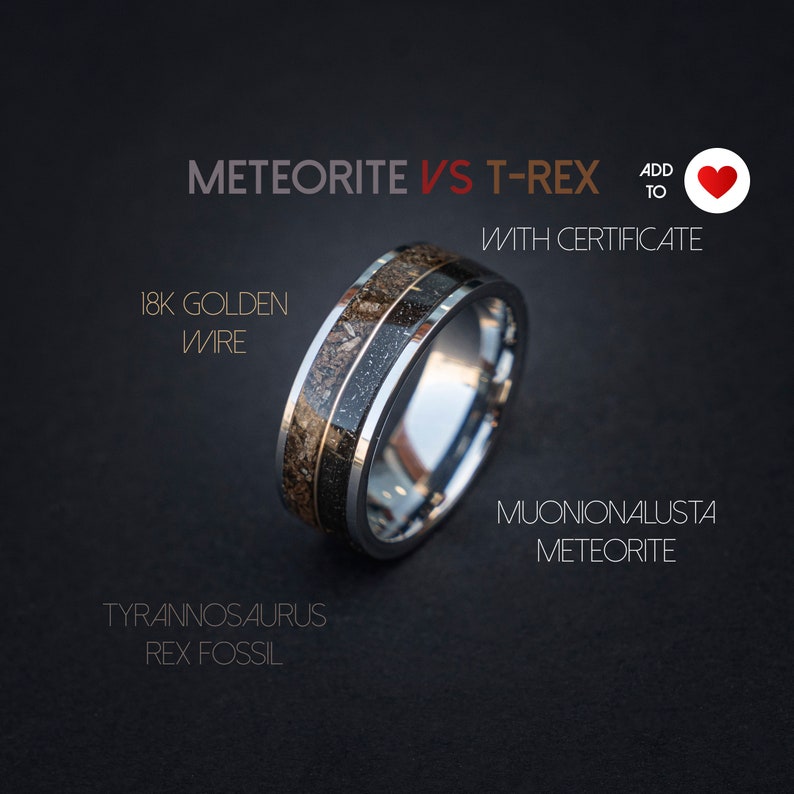 T-rex Dinosaur bone meteorite engagement ring, meteorite ring, mens ring, meteorite ring, dinosaur ring, unique ring, handmade jewelry image 1