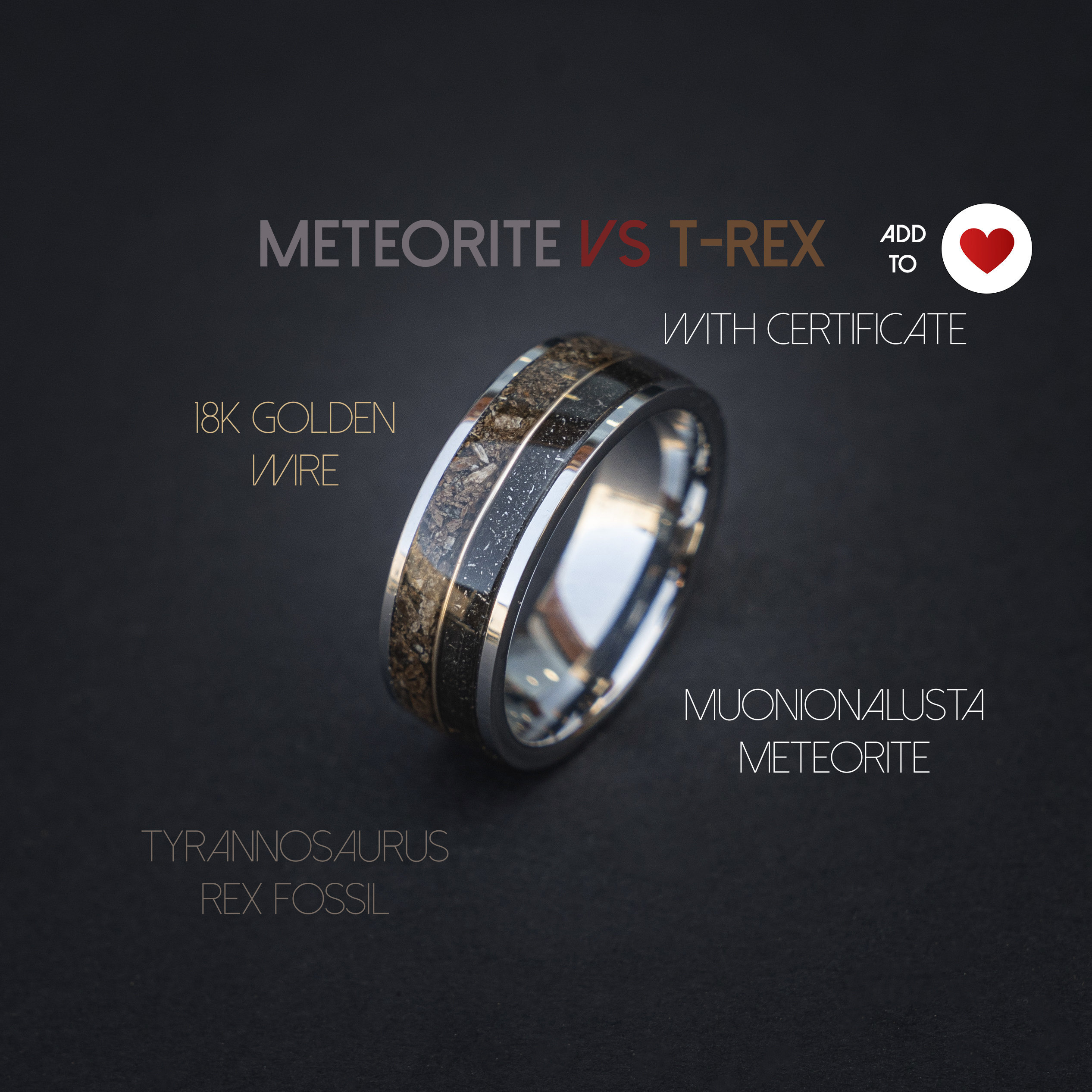 9 mm Meteorite in Titanium Ring 