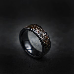 8mm schwarzer Keramik-Spinosaurus-Ring mit Gibeon-Meteoritenstaub, Ringe für die beste Freundin, Paarring-Set, Paarring | Decazi