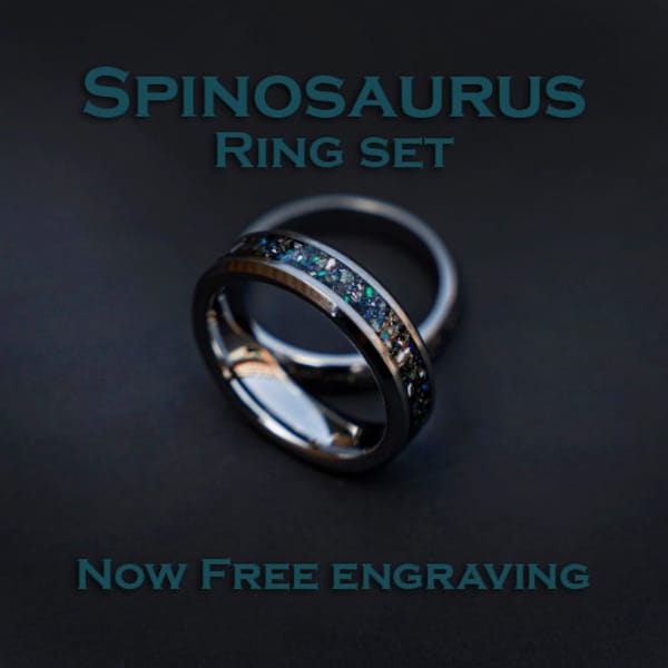 Bague de mariage Spinosaurus sertie d'opale de galaxie bleue et de poussière de météorite, bagues de meilleur ami, ensemble de bagues de couple, bague de couples | Décazi