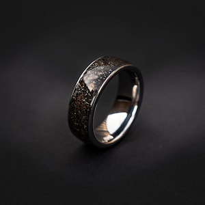 Velociraptor Dinosaur Bone Ring and campo del cielo Meteorite Ring made with Meteorite and Dinosaur Bone