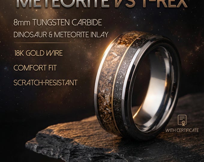 T-rex Dinosaur bone meteorite engagement ring, meteorite ring, mens ring, meteorite ring, dinosaur ring, unique ring, handmade jewelry