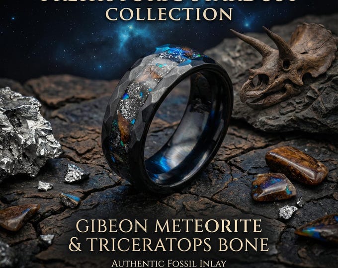 Black Ceramic Hammered Ring with Triceratops Meteorite and Opal, Men’s Wedding Band, Unique Engagement Ring
