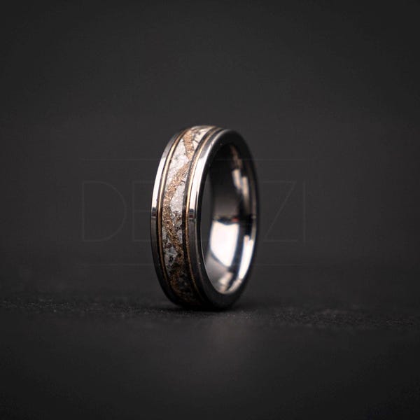 Anillo de hueso de dinosaurio real y meteorito Trex/Spinosaurus, joyería hecha a mano, anillo de bodas único para hombre