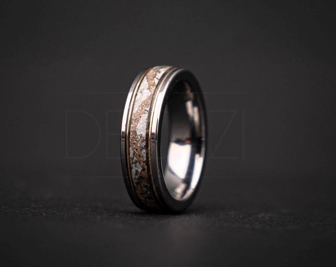 Trex/Spinosaurus Real Dinosaur bone and Meteorite ring, Handmade jewelry, Mens wedding ring unique