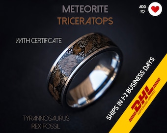 Triceratops meteorite ring, dinosaur bone, mens ring, Triceratops fossil, meteorite ring men, mens wedding band, unique mens ring