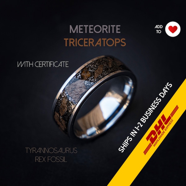 Triceratops meteorite ring, dinosaur bone, mens ring, Triceratops fossil, meteorite ring men, mens wedding band, unique mens ring