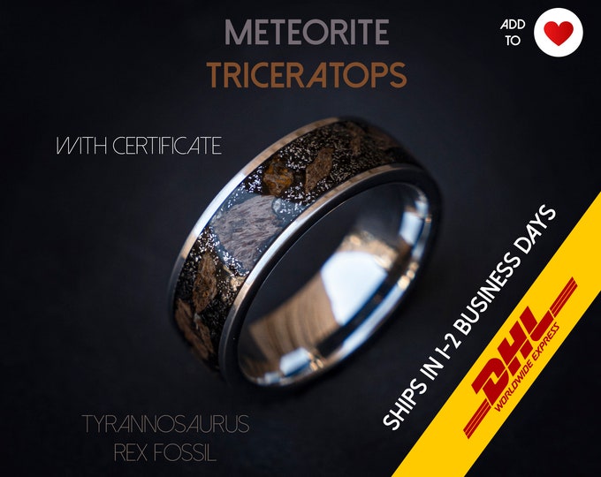 Triceratops meteorite ring, dinosaur bone, mens ring, Triceratops fossil, meteorite ring men, mens wedding band, unique mens ring