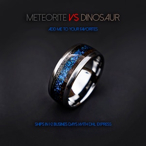 Dinosaur bone, mens ring, T rex fossil, tyrannosaurus meteorite ring, lapis lazuli, meteorite ring men, mens wedding band, unique mens ring