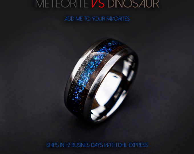 Dinosaur bone, mens ring, T rex fossil, tyrannosaurus meteorite ring, lapis lazuli, meteorite ring men, mens wedding band, unique mens ring