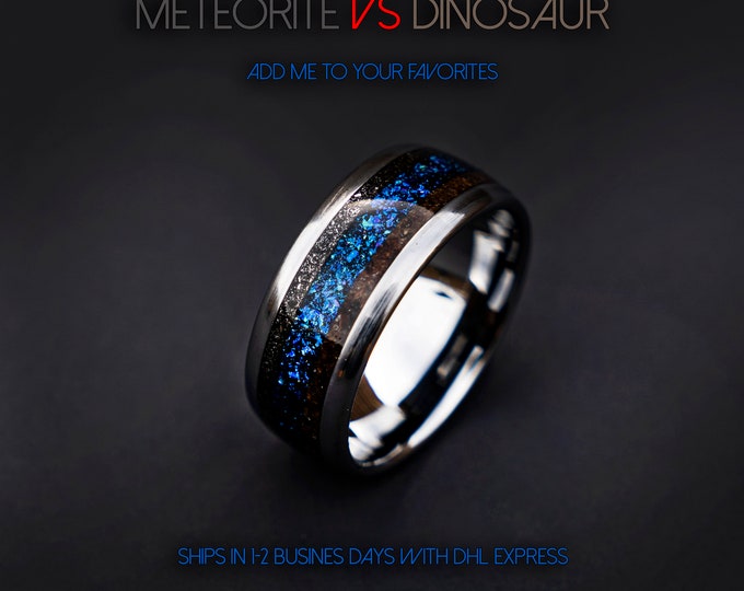 Dinosaur bone, mens ring, T rex fossil, tyrannosaurus meteorite ring, lapis lazuli, meteorite ring men, mens wedding band, unique mens ring