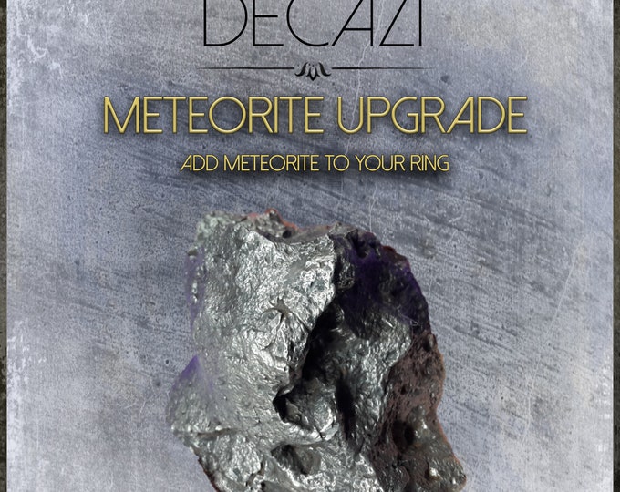 Meteorite upgrade, Dinosaur bone ring, fossil ring, upgrade your ring mens wedding band.