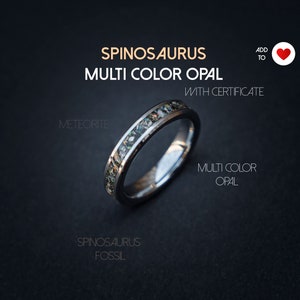 Op de afbeelding: Een zilveren ring met een band van veelkleurige opaal ingebed in zwart materiaal. De ring is gelabeld met "Spinosaurus Fossil" en "Multi Color Opal".