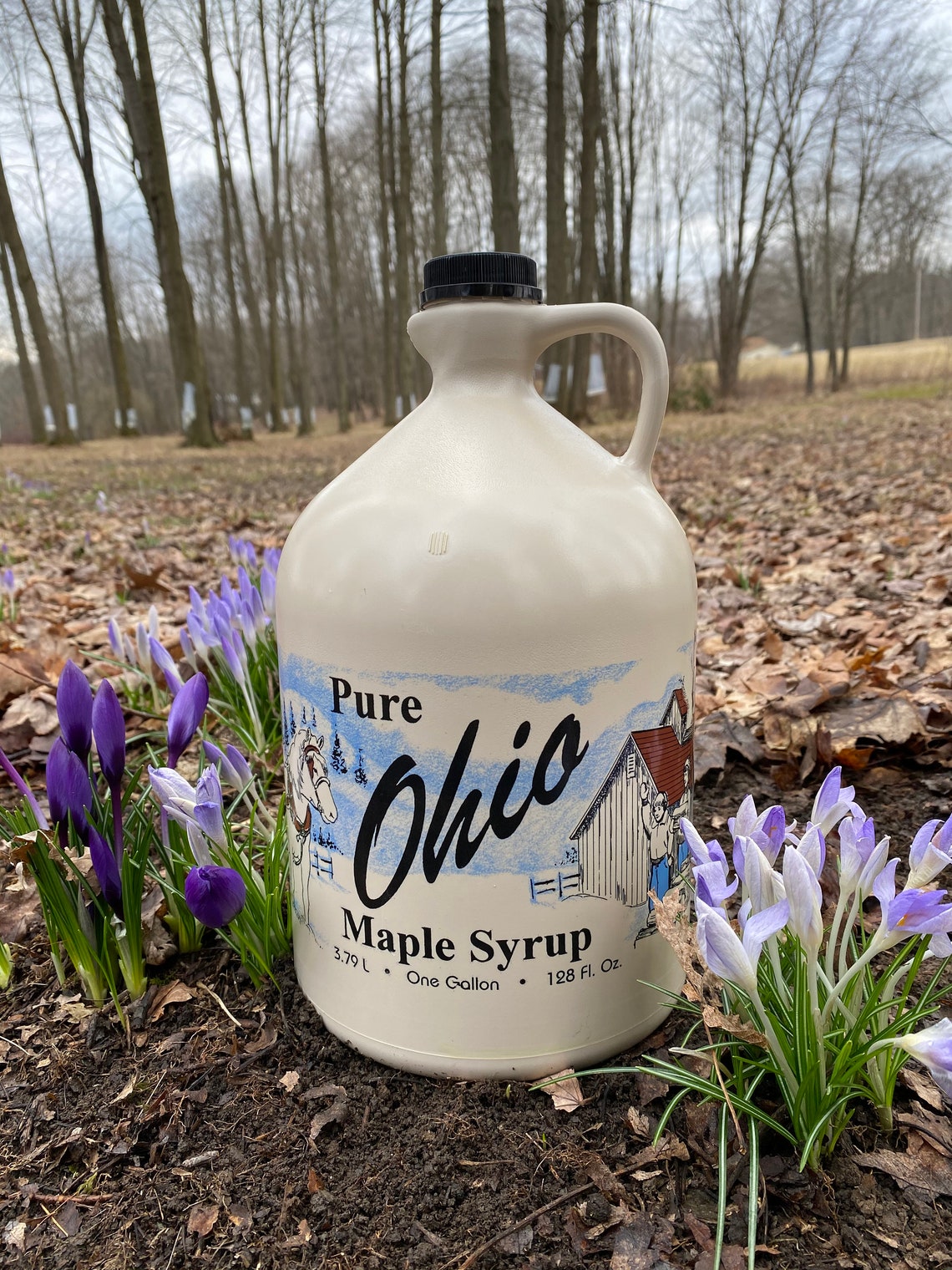 Pure Ohio Maple Syrup Gallon Etsy