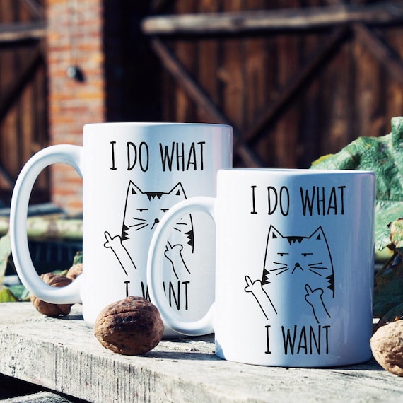 Angry Kitty Mug Funny Cat Mug Gift For Cat Lover I Do What I Want Coffee Mug 