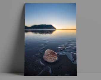 Shell at the Ocean Sunset - Metal and Canvas Print