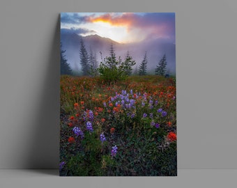 Wildflower Sunrise Metal or Canvas Print