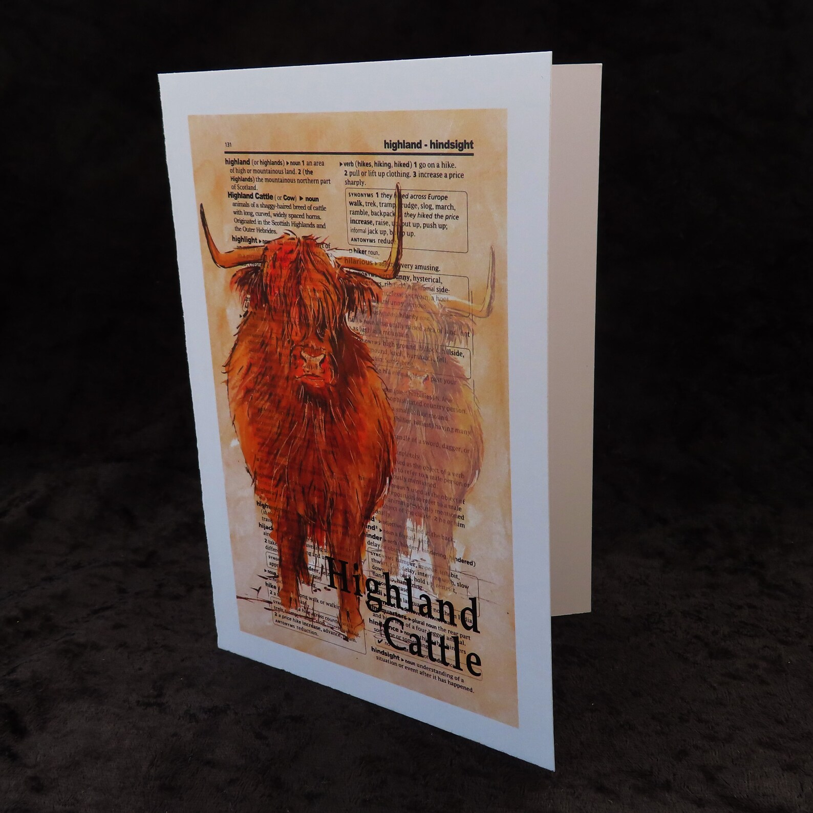 scottish highland cattle happy birthday scottish highland cattle happy birthday