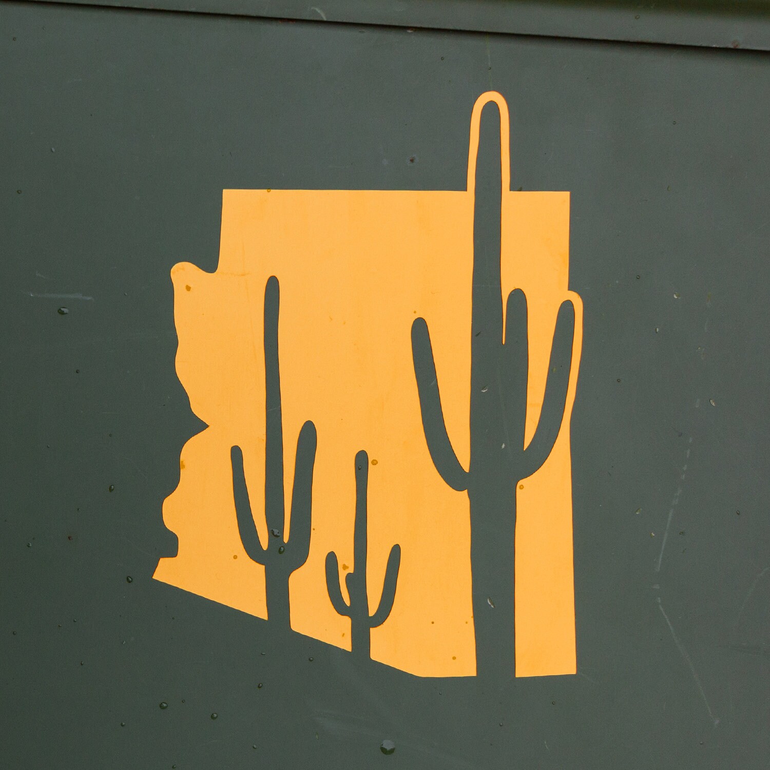 Laptops and More Sunshine and Saguaros Weatherproof Decal Cactus Sticker for Water Bottles Vinyl Sticker