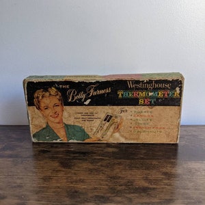 Vintage Cooking thermometer set