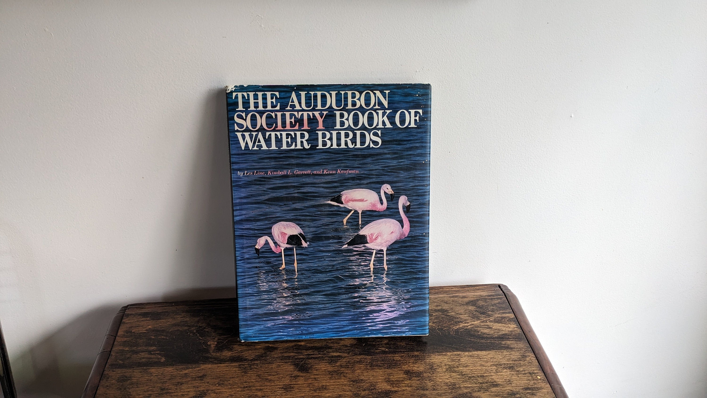 The Audubon Society Book of Water Birds - Etsy