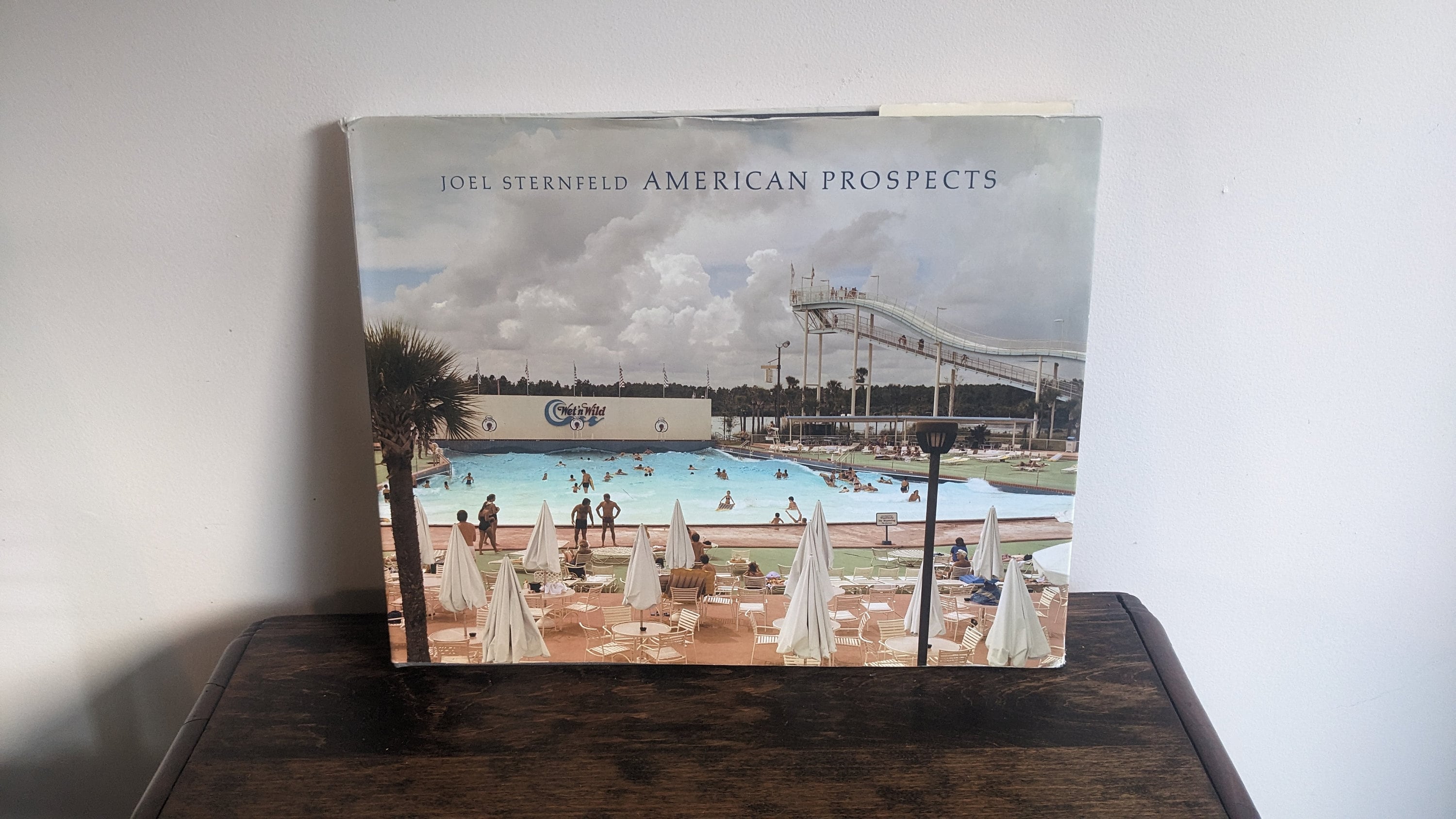 Joel Sternfeld American Prospets - Etsy Australia