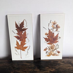 May include: Two framed pressed flower art pieces. The left piece features three brown maple leaves and dried grasses. The right piece features a brown maple leaf, dried grasses, and a yellow daisy.