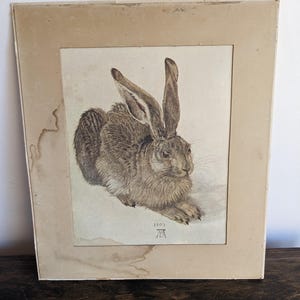 Young Hare by Albrecht Durer, 1502, Rabbit lithograph