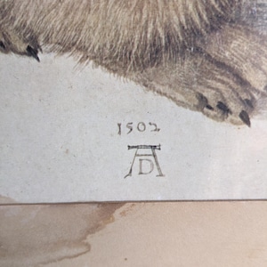 Young Hare by Albrecht Durer, 1502, Rabbit Lithograph - Etsy