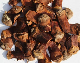 Pinecone Scales - 1 cup