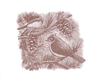 Titmice Wood Engraving