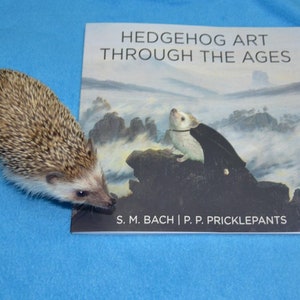 May include: A brown and white hedgehog looks at a book titled "Hedgehog Art Through The Ages" by S.M. Bach and P.P. Pricklepants. The book cover features a painting of a white hedgehog wearing a black cape standing on a rock.