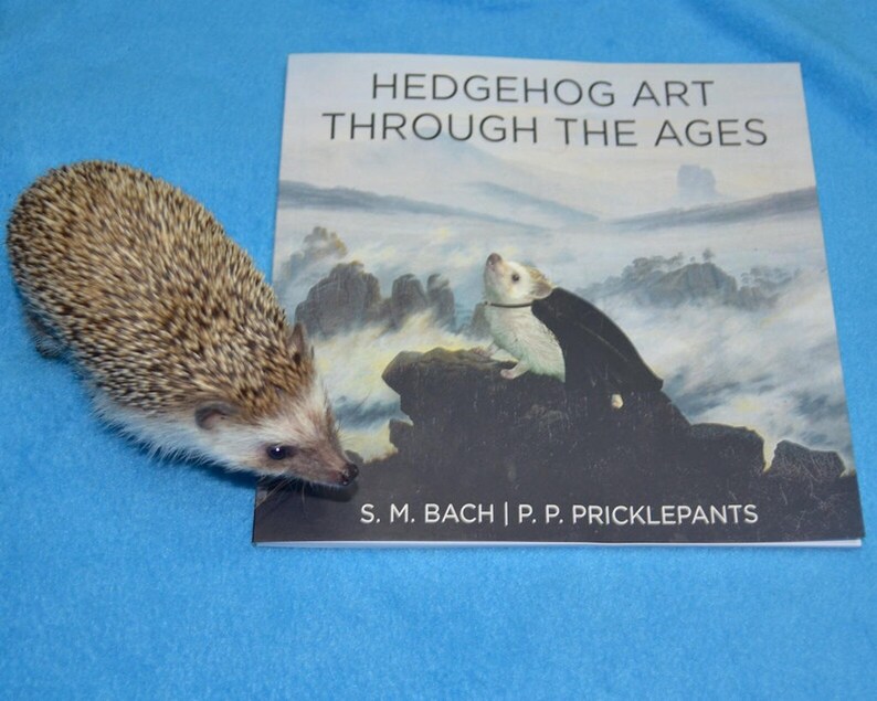 May include: A brown and white hedgehog looks at a book titled "Hedgehog Art Through The Ages" by S.M. Bach and P.P. Pricklepants. The book cover features a painting of a white hedgehog wearing a black cape standing on a rock.
