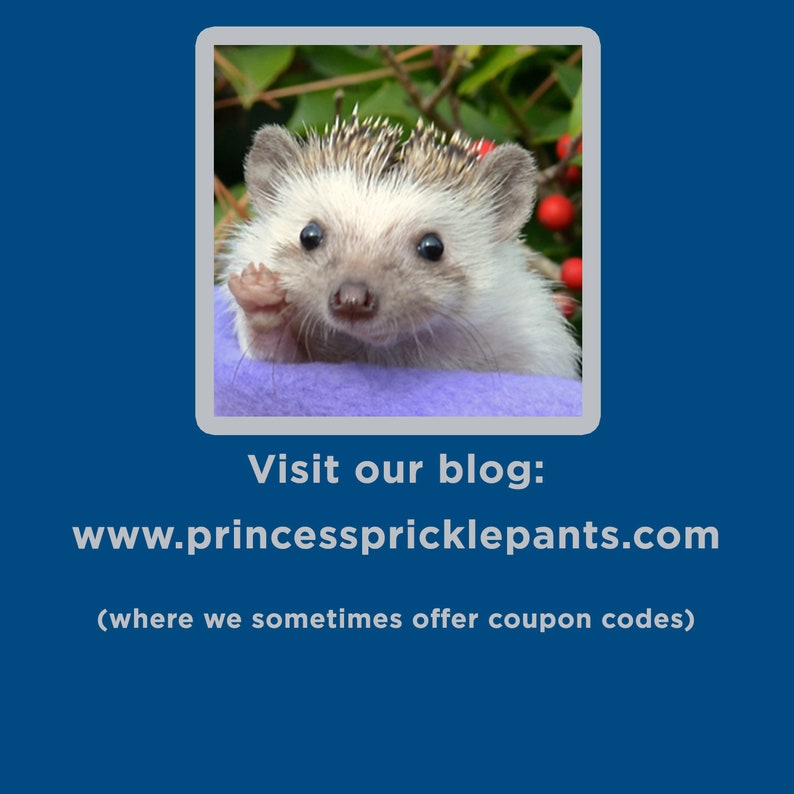 May include: A close-up of a small hedgehog with brown eyes and a light brown and white coat. The hedgehog is sitting on a purple blanket and waving with its front paw. The background is a blurry image of green leaves and red berries.