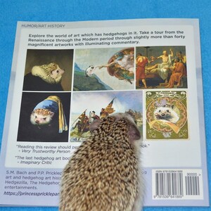 May include: The back cover of a book titled "Humor/Art History" featuring a hedgehog on the cover. The book cover features several images of famous paintings with hedgehogs replacing the original subjects. The book cover also includes the book's title, author, and ISBN number.