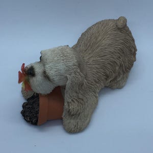 Cucciolo Di Spitz Nano Pomerano Con Cappello Di Babbo Natale A Natale E Nuovo Anno 133788523