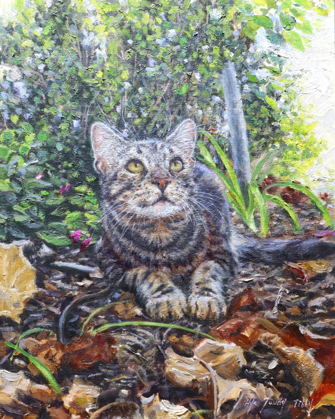 Tabby Cat Watching Birds, Fine Art Print - Etsy