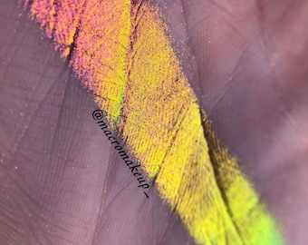 Czar Multichrome Eyeshadow