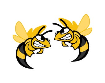 Angry hornet vinyl stickers x 2 decal rc car window laptop weather proof