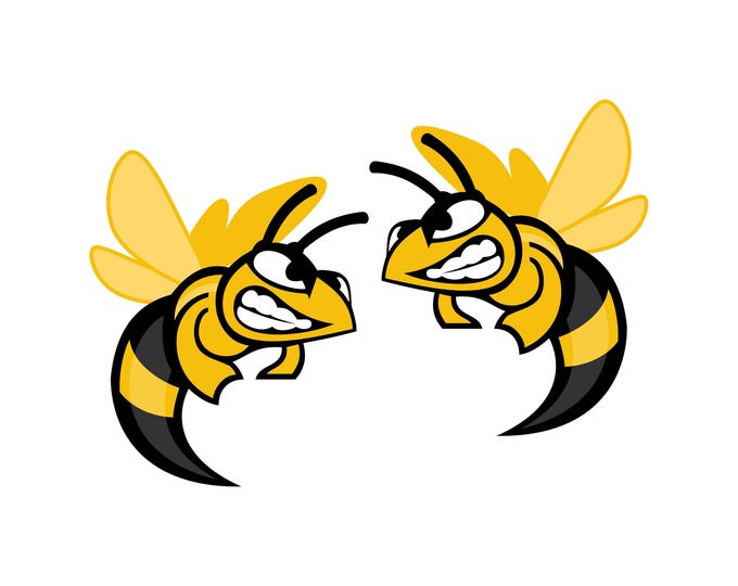 Angry hornet vinyl stickers x 2 decal rc car window laptop weather proof