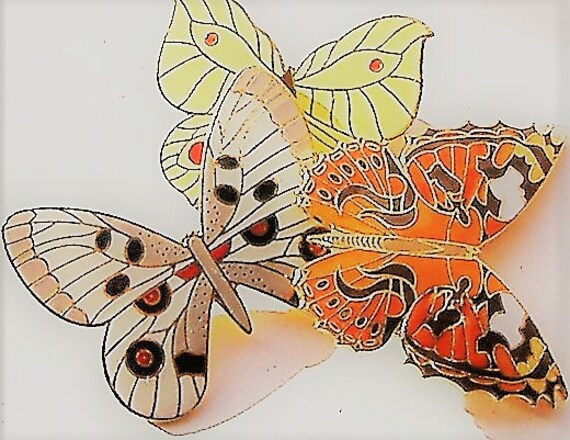 1980S/90s  BUTTERFLY BROOCHES /three enamel - image 2