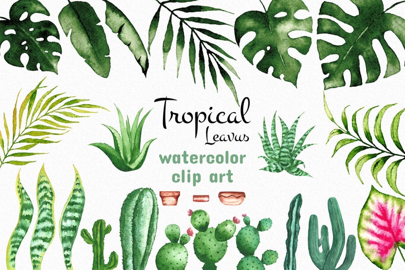 Tropical Clip Art Commercial use Illustration Summer Leaves Tropical Artwork Watercolor Tropical Leaves Watercolor Botanical Elements