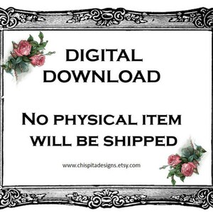 Puede incluir: Anuncio de descarga digital dentro de un marco decorativo en blanco y negro. El texto dice "DESCARGA DIGITAL" y "NO SE ENVIAR&Aacute; NING&Uacute;N ART&Iacute;CULO F&Iacute;SICO". Acentos florales de rosas rosas adornan las esquinas.
