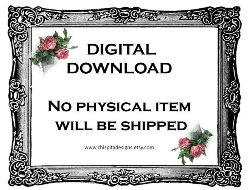 Puede incluir: Anuncio de descarga digital dentro de un marco decorativo en blanco y negro. El texto dice "DESCARGA DIGITAL" y "NO SE ENVIAR&Aacute; NING&Uacute;N ART&Iacute;CULO F&Iacute;SICO". Acentos florales de rosas rosas adornan las esquinas.